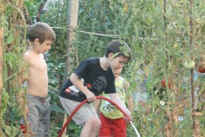 boys gardening 