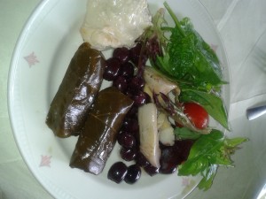 stuffed vine leaves, antipasti , hummus and salad 