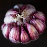 immune system boosters-garlic 