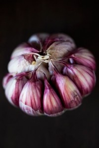 immune system boosters-garlic