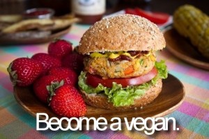 become a vegan