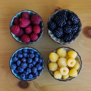 going vegan