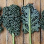 health benefits of kale 