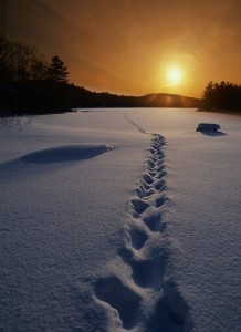 celebrate winter solstice