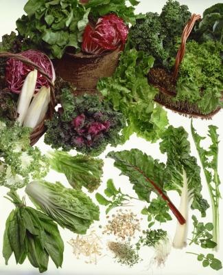 health benefits of the raw food detox 