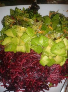 raw vegan recipes