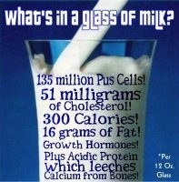 alternatives to dairy milk