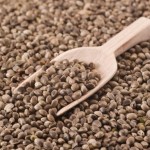 edible seeds-hemp seeds 