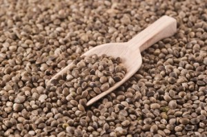 edible seeds-hemp seeds